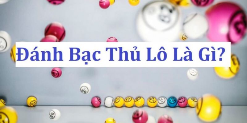 Bạch thủ lô là gì mà được yêu thích đến thế