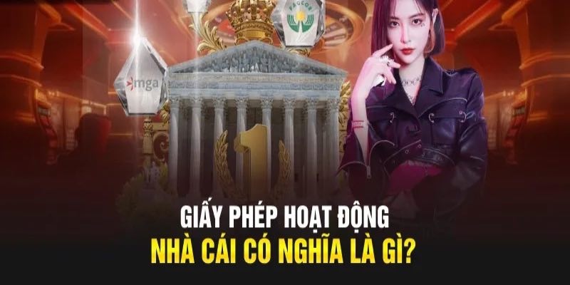 Giới thiệu các giấy phép hợp pháp