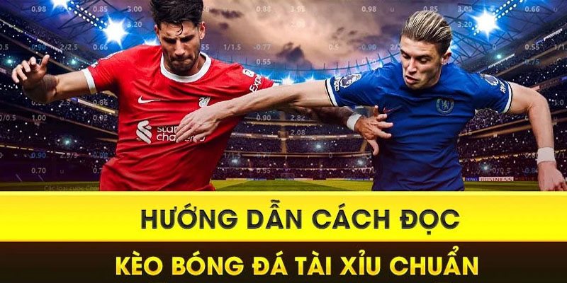 Hướng dẫn xem tỷ lệ Over/Under chi tiết nhất hôm nay